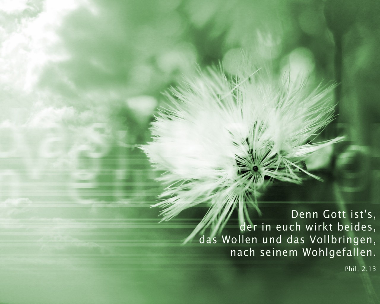 Jesuspower (184).jpg